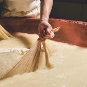 Living Food: Cheesemaking for Home Cooks